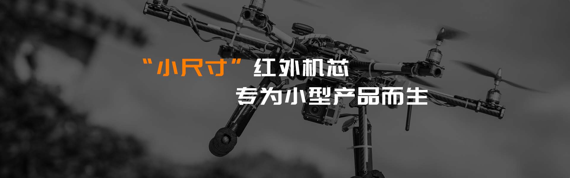 机芯模组