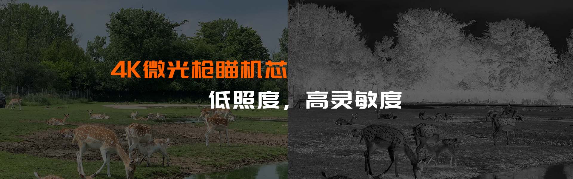 机芯模组
